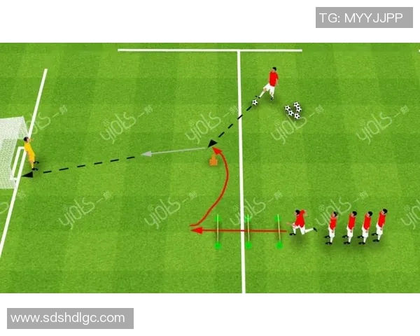 足球明星进球区域排名分析图揭示射门热区与得分效率的关系 足球明星进球区域排名分析图揭示射门热区与得分效率的关系