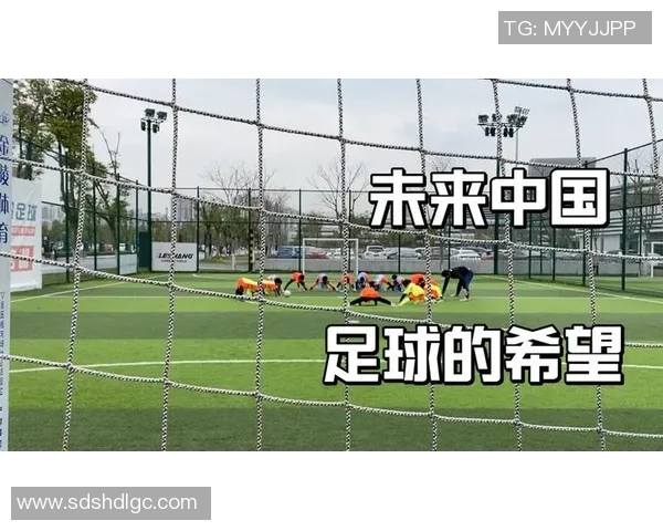 足球明星西瓜的精彩瞬间与成长历程全解析图片展示 足球明星西瓜的精彩瞬间与成长历程全解析图片展示